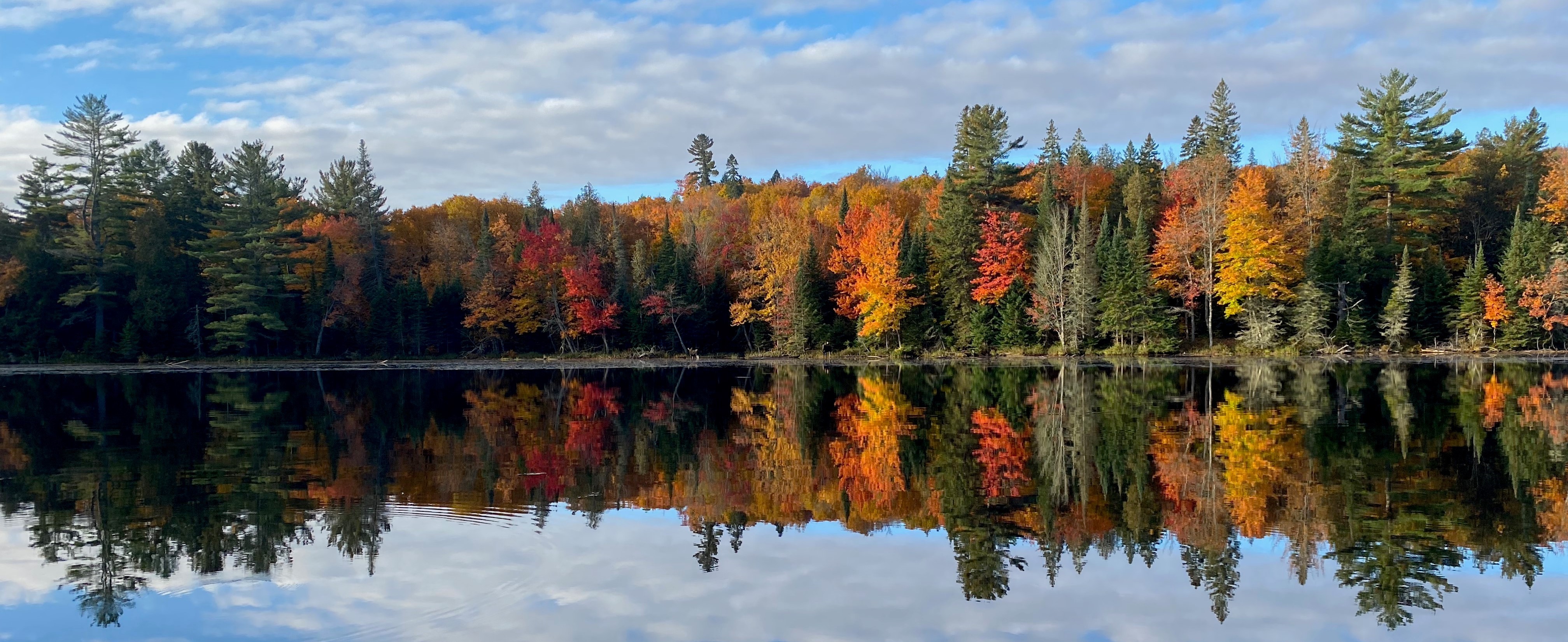 Trees changing colour along river's edge