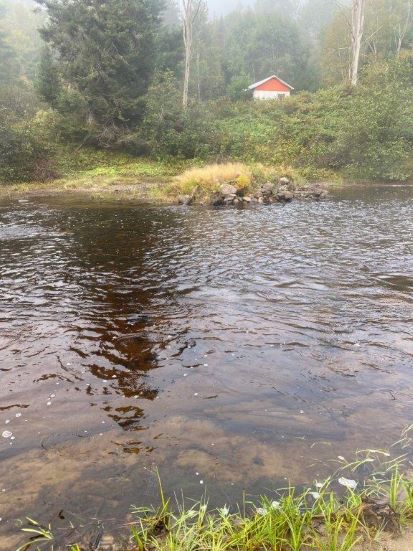 Niveau d'eau de la rivière Fildegrand à l'automne - septembre