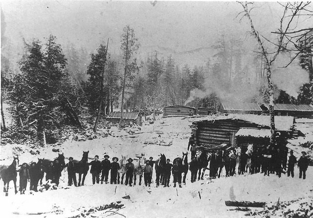 logging camp image