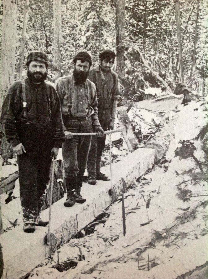 Square timber bench camp an old image from the logging era