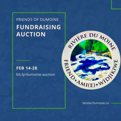 Auction information and link
